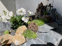 IMG_9639.JPG