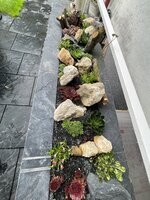 IMG_7559.JPG