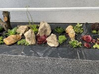 IMG_7549.JPG