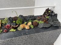 IMG_7548.JPG