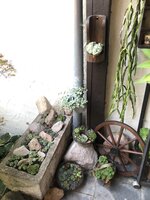 IMG_1218.JPG