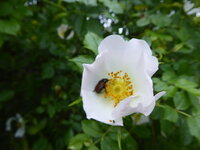 P1080165.JPG