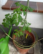 P1080109Kopie.JPG