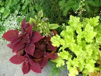 P1010927.webp P1010927.webp