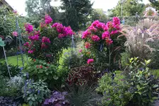 Terasse        7223.webp