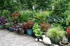 Terasse       4222.webp