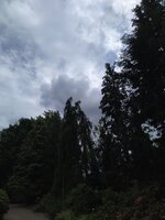 IMG_20250601_154939_1.jpg