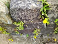IMG_20250601_162309_1.jpg