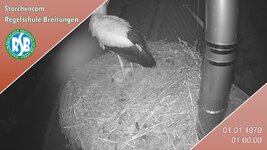 IMG_2043.jpeg