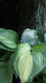 20250602_185115.jpg