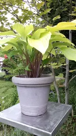 20250601_193443.webp