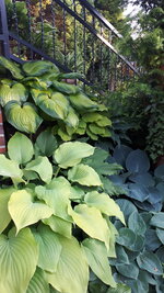 20250602_200943.jpg