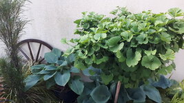 20250602_201009.jpg