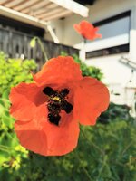 IMG_20250602_075919.jpg
