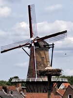 20250603_134305.jpg