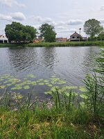 20250603_131219.jpg