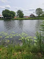 20250603_131219.webp