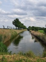 20250601_161553.jpg