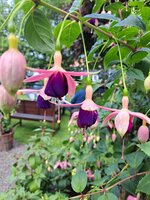 20250601_160158.jpg