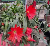 20250601_153300.webp