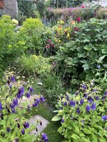 IMG_8730.jpeg