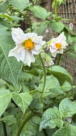 IMG_4563.jpeg
