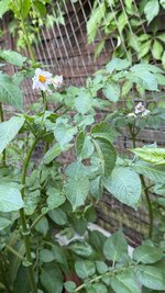 IMG_4562.jpeg