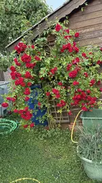 IMG_4573.webp