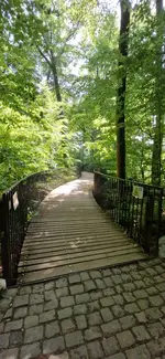 IMG-20250603-WA0013.webp