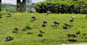 IMG-20250603-WA0018.jpg