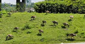 IMG-20250603-WA0018.webp