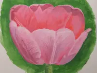 2025MTulpe6.webp