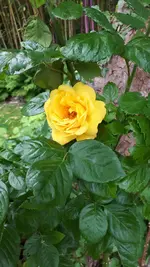 20250602_120707.webp