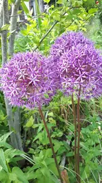 20250529_175813.webp