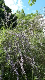 20250603_130751.webp