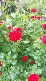 20250604_144904.webp
