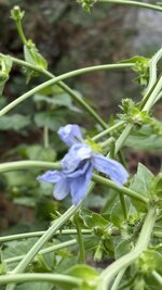 IMG_4588.jpeg