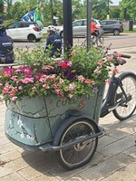 20250604_125835.jpg