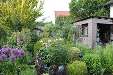 Mai     9524.webp