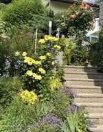 IMG_8741.jpeg