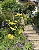 IMG_8741.jpeg