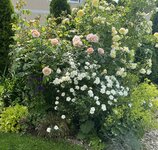 IMG_8766.jpeg