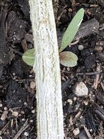 IMG_6964.jpeg