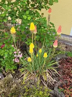 20250604_192111.webp