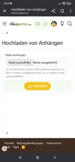 Screenshot_2025-06-05-18-29-25-057_com.android.chrome.webp
