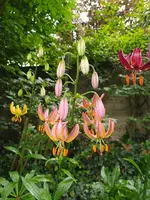IMG_20250605_164106.webp