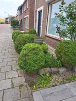 20250605_133509.webp