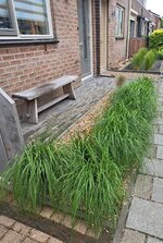20250605_133534.jpg
