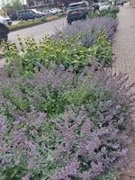 20250605_144404.webp