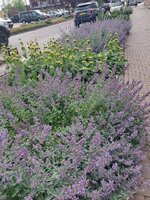 20250605_144404.jpg
